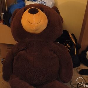 Large Brown Teddy Bear